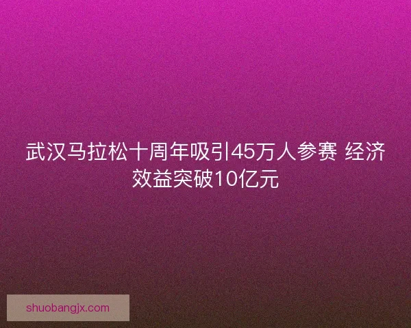 武汉马拉松十周年吸引45万人参赛 经济效益突破10亿元