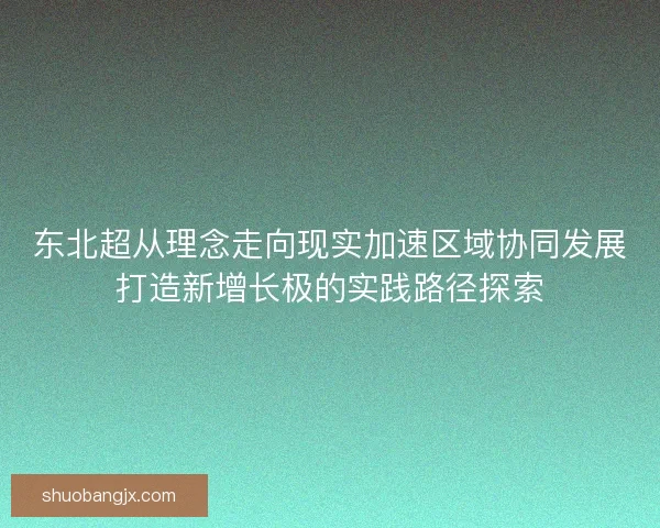 东北超从理念走向现实加速区域协同发展打造新增长极的实践路径探索
