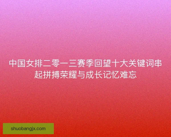 中国女排二零一三赛季回望十大关键词串起拼搏荣耀与成长记忆难忘
